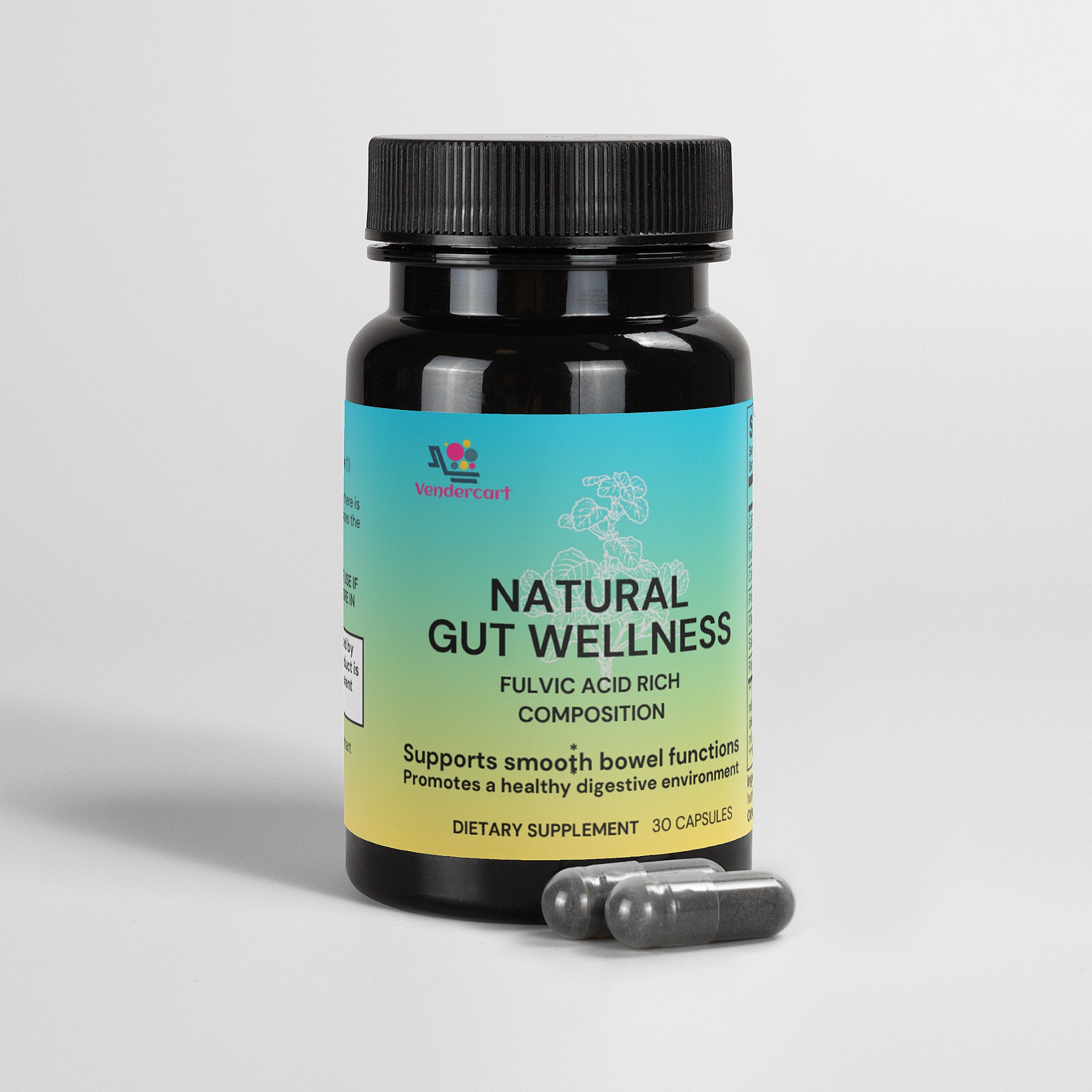 Natural Gut Wellness Capsules with Fulvic Acid