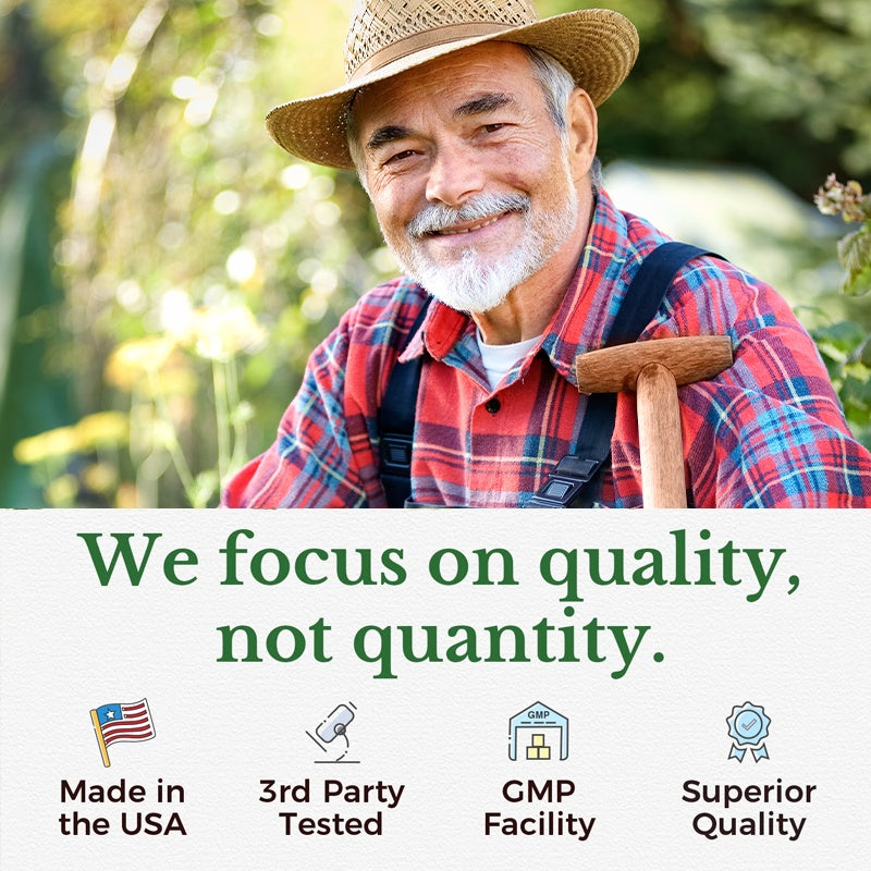 BSYS Moringa Capsules