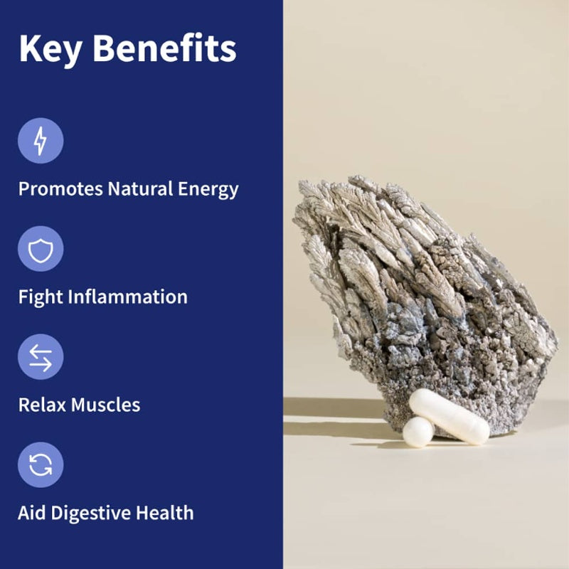 BSYS Magnesium Supplements