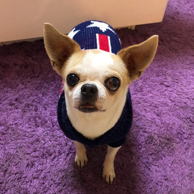 Turtleneck Knitted Sweater