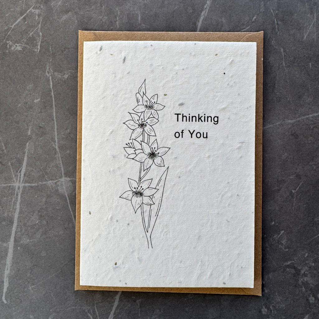 Plantable Sympathy Card