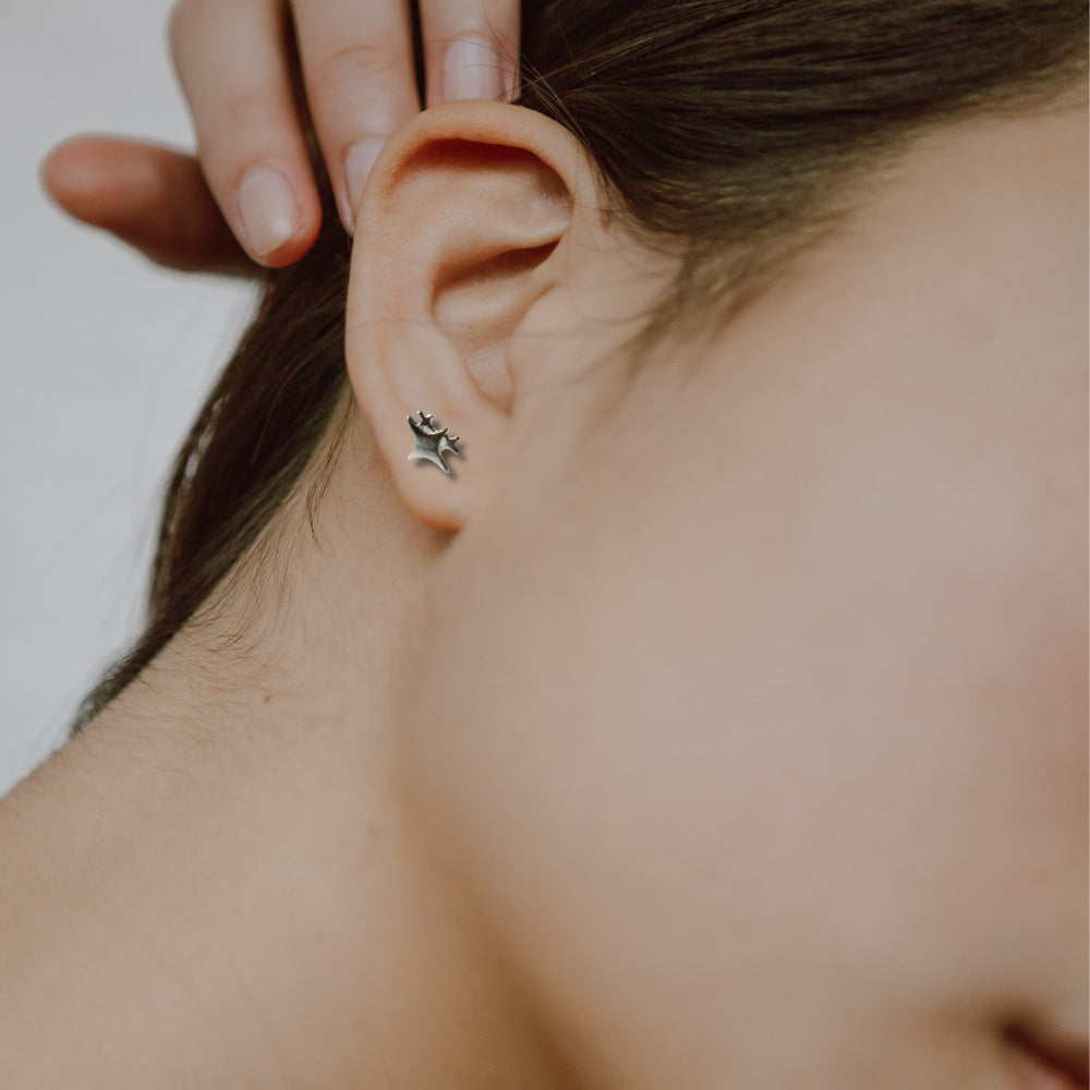 Boucles d'oreilles clous étoiles scintillantes en argent