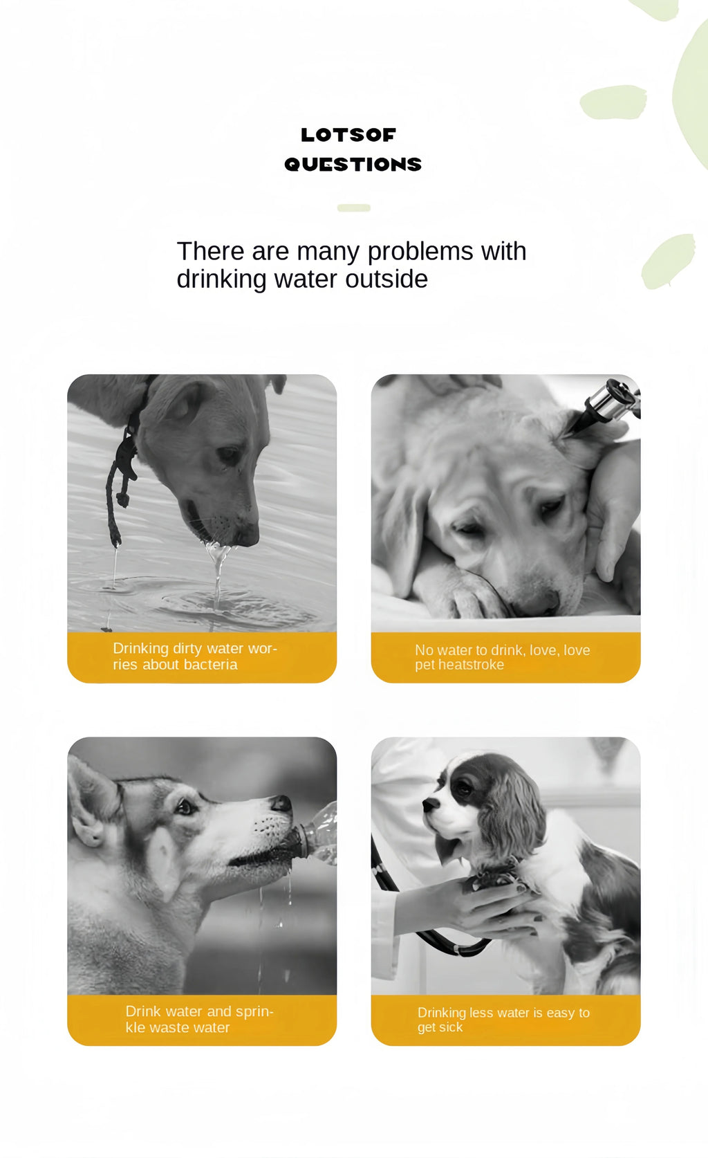 PawsHydrate Dog Water Bottle