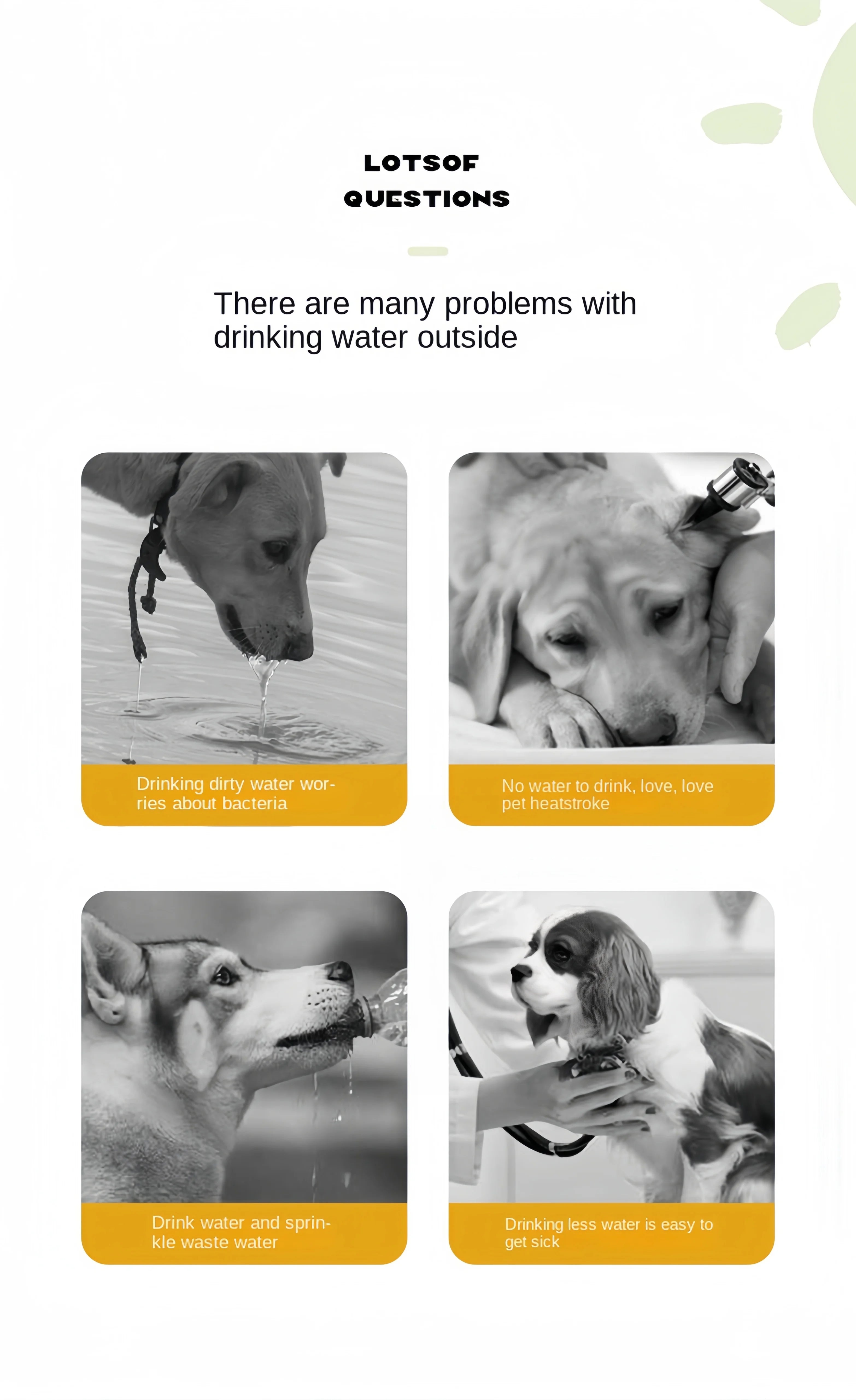 PawsHydrate Dog Water Bottle