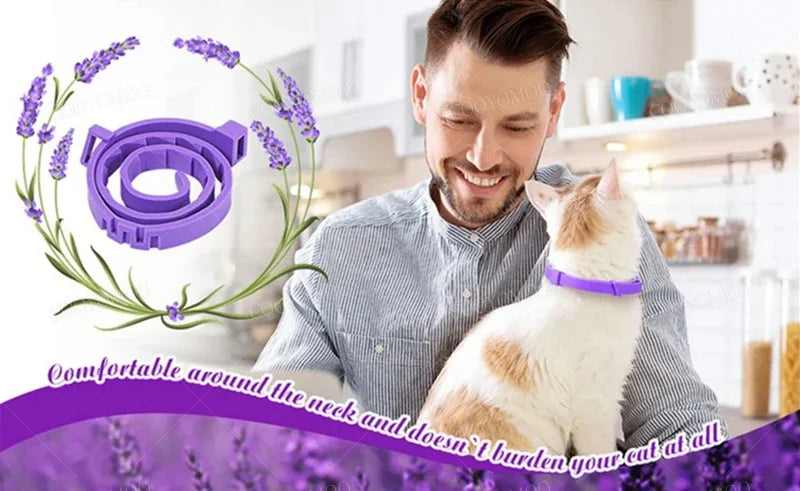Collier apaisant COOYOMOO pour animaux de compagnie