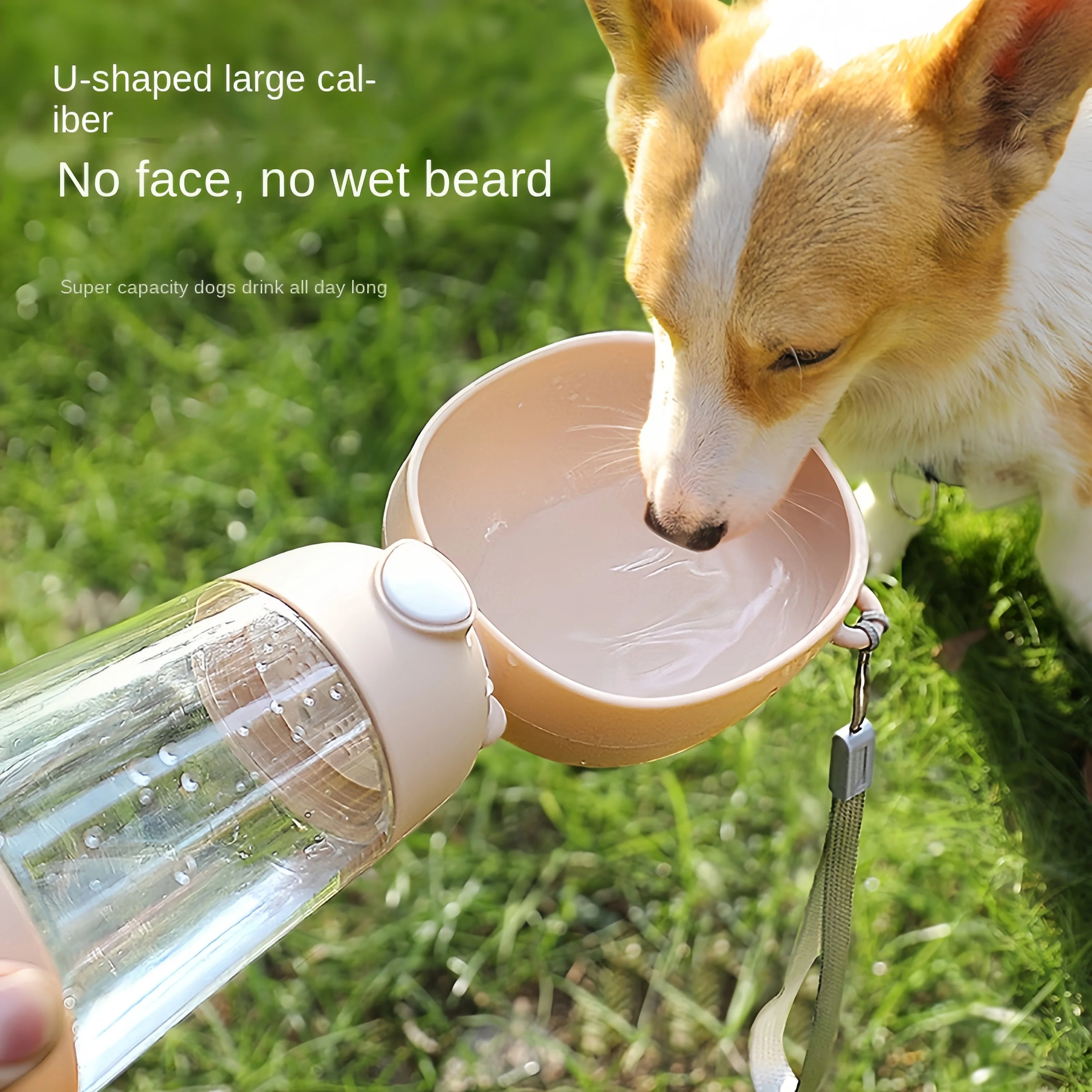 PawsHydrate Dog Water Bottle
