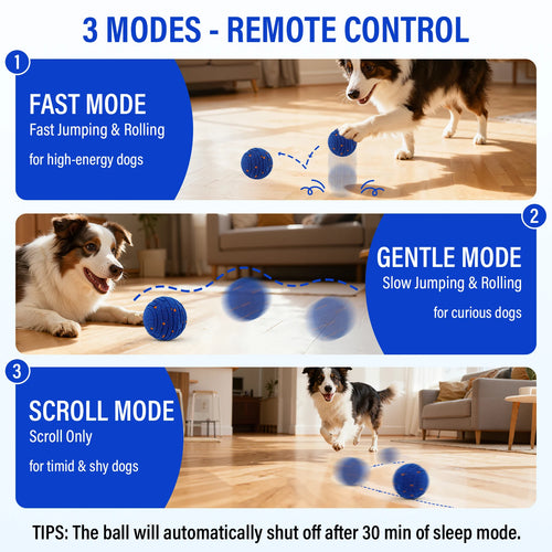 Bounce & Chase Smart Interactive Dog Ball