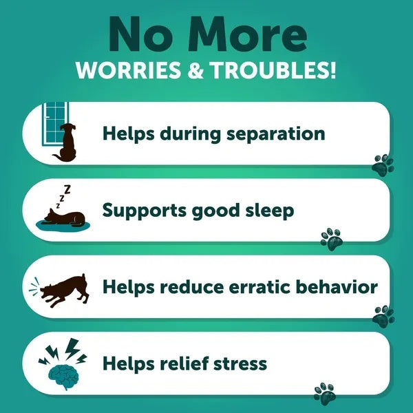 Hemp Calming Chews for Dogs