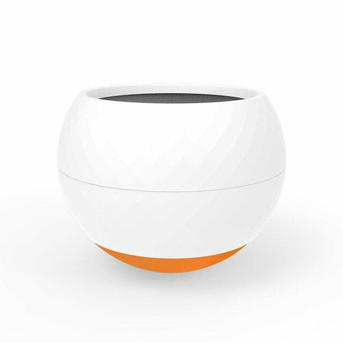 PawPace Slow Feeder Bowl