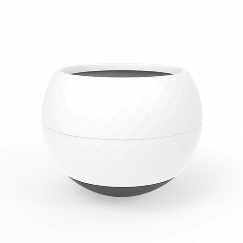 PawPace Slow Feeder Bowl