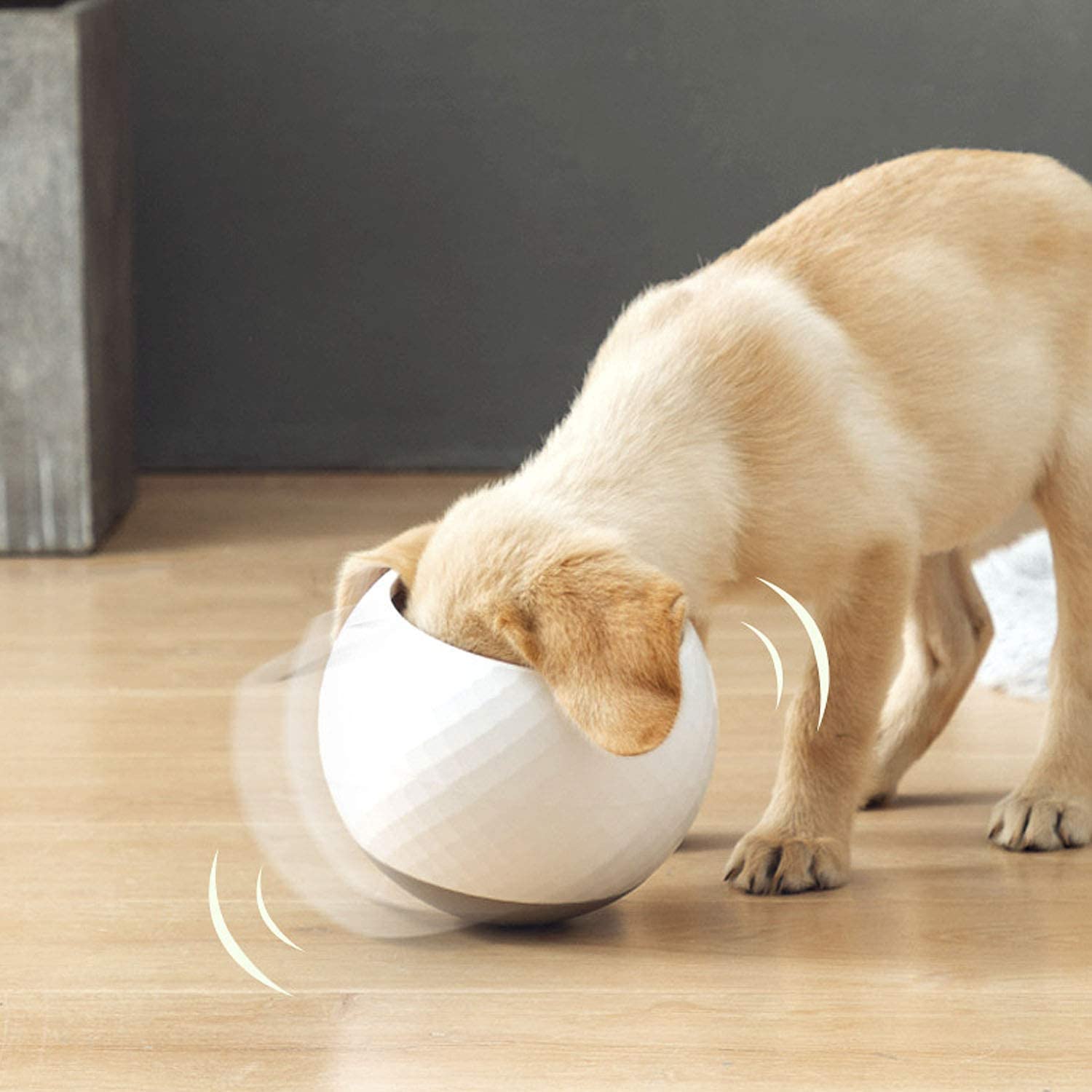 PawPace Slow Feeder Bowl